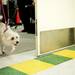 Annie Murray, three, exits the photo studio area on Saturday. Daniel Brenner I AnnArbor.com